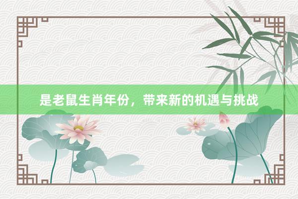 是老鼠生肖年份，带来新的机遇与挑战