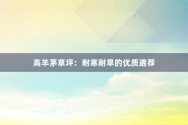 高羊茅草坪：耐寒耐旱的优质遴荐