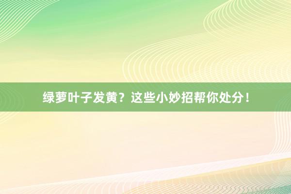 绿萝叶子发黄？这些小妙招帮你处分！